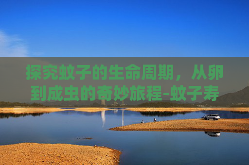 探究蚊子的生命周期，从卵到成虫的奇妙旅程-蚊子寿命多长?