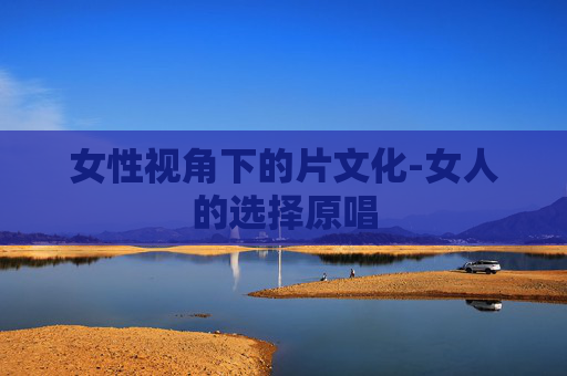 女性视角下的片文化-女人的选择原唱