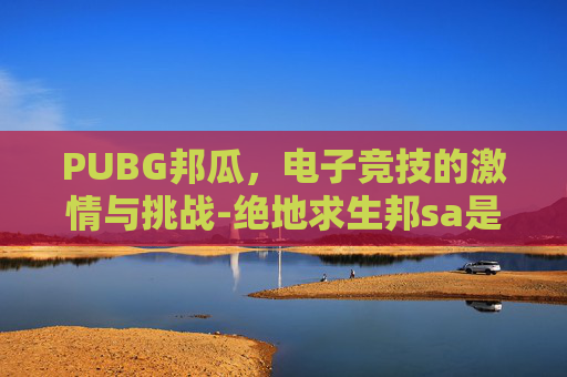 PUBG邦瓜，电子竞技的激情与挑战-绝地求生邦sa是谁