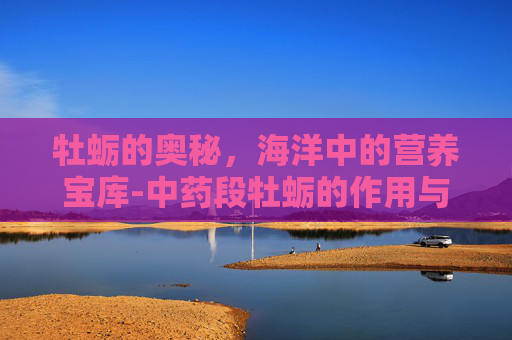 牡蛎的奥秘，海洋中的营养宝库-中药段牡蛎的作用与功效