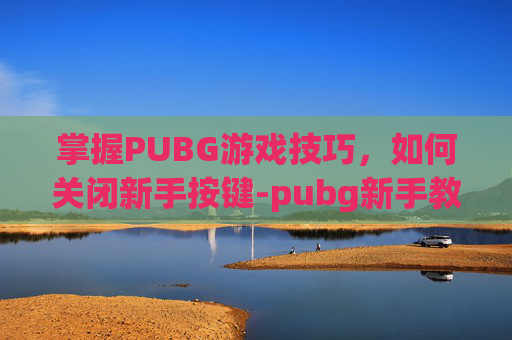 掌握PUBG游戏技巧，如何关闭新手按键-pubg新手教程怎么关闭