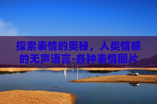 探索表情的奥秘，人类情感的无声语言-各种表情图片