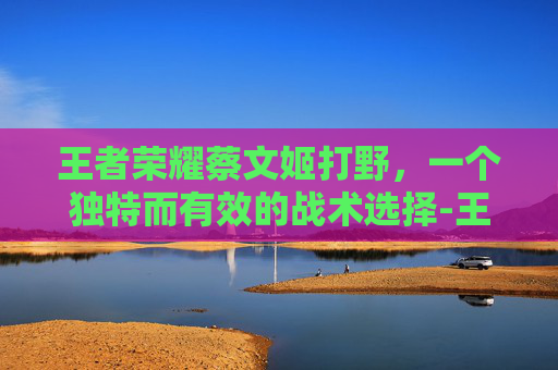 王者荣耀蔡文姬打野，一个独特而有效的战术选择-王者荣耀蔡文姬打野思路