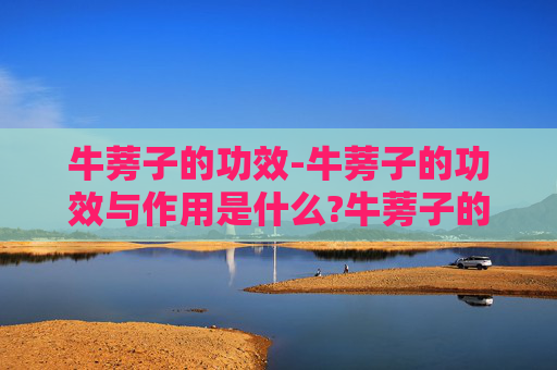 牛蒡子的功效-牛蒡子的功效与作用是什么?牛蒡子的禁忌又是什么? 牛蒡子的功效-牛蒡子的功效与作用是什么?牛蒡子的禁忌又是什么?