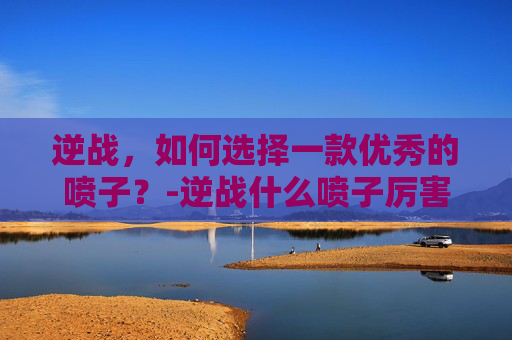 逆战，如何选择一款优秀的喷子？-逆战什么喷子厉害