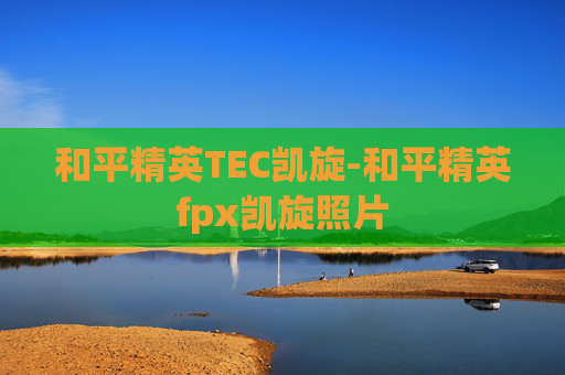 和平精英TEC凯旋-和平精英fpx凯旋照片