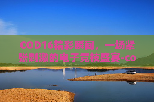 COD16精彩瞬间，一场紧张刺激的电子竞技盛宴-cod16精彩集锦