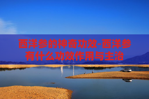 西洋参的神奇功效-西洋参有什么功效作用与主治