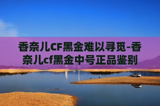 香奈儿CF黑金难以寻觅-香奈儿cf黑金中号正品鉴别