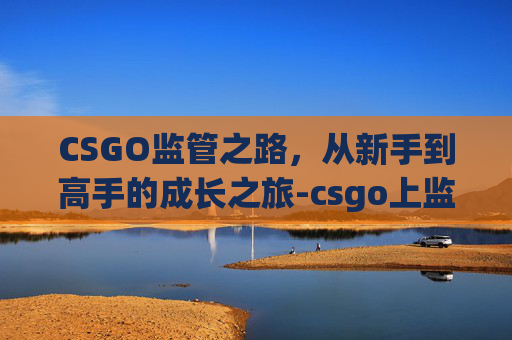CSGO监管之路，从新手到高手的成长之旅-csgo上监管会怎么样
