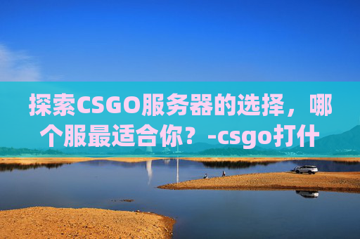 探索CSGO服务器的选择，哪个服最适合你？-csgo打什么服务器好