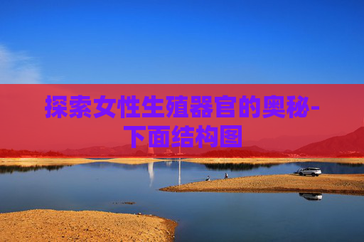探索女性生殖器官的奥秘-下面结构图