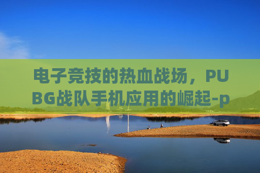 电子竞技的热血战场，PUBG战队手机应用的崛起-pubg手游战队在哪