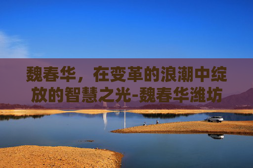 魏春华，在变革的浪潮中绽放的智慧之光-魏春华潍坊卫恩医院