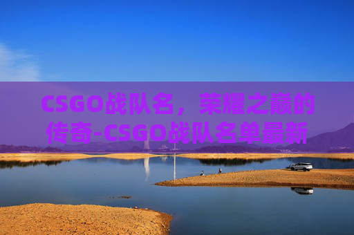 CSGO战队名，荣耀之巅的传奇-CSGO战队名单最新
