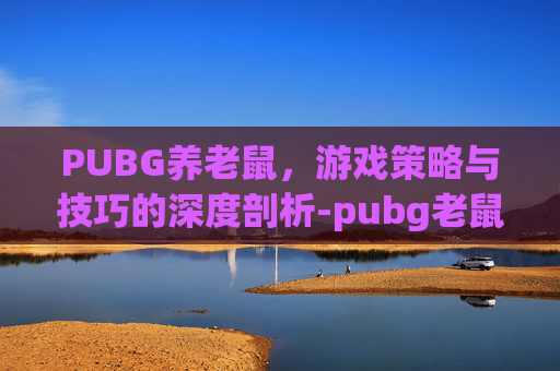 PUBG养老鼠，游戏策略与技巧的深度剖析-pubg老鼠台是什么