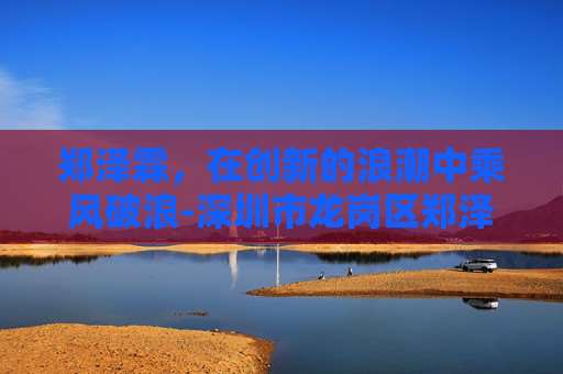 郑泽霖，在创新的浪潮中乘风破浪-深圳市龙岗区郑泽霖
