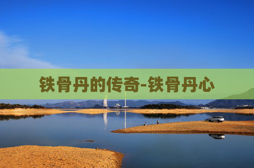 铁骨丹的传奇-铁骨丹心