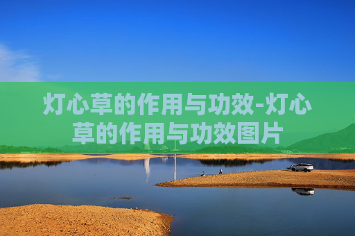 灯心草的作用与功效-灯心草的作用与功效图片