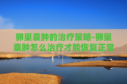 卵巢囊肿的治疗策略-卵巢囊肿怎么治疗才能恢复正常