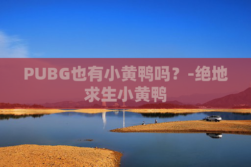 PUBG也有小黄鸭吗？-绝地求生小黄鸭