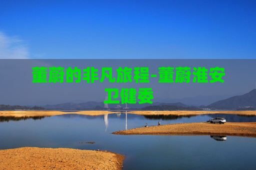 董蔚的非凡旅程-董蔚淮安卫健委