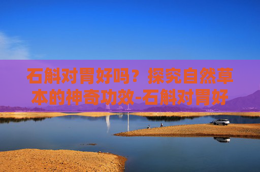 石斛对胃好吗？探究自然草本的神奇功效-石斛对胃好吗,可以长期喝吗