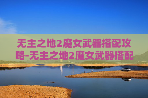 无主之地2魔女武器搭配攻略-无主之地2魔女武器搭配攻略