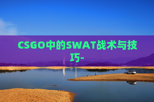 CSGO中的SWAT战术与技巧-
