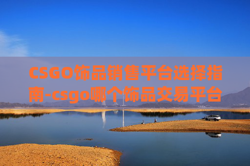 CSGO饰品销售平台选择指南-csgo哪个饰品交易平台好