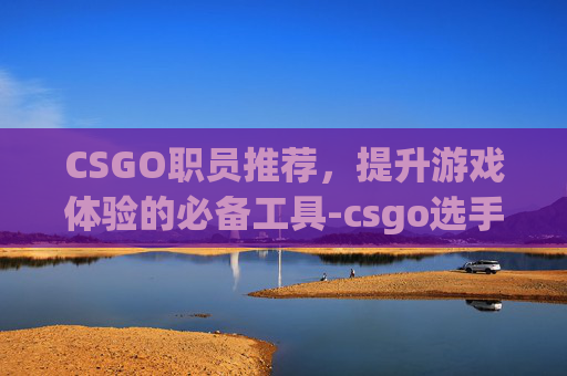 CSGO职员推荐，提升游戏体验的必备工具-csgo选手职位