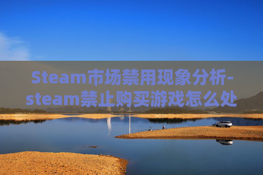 Steam市场禁用现象分析-steam禁止购买游戏怎么处理