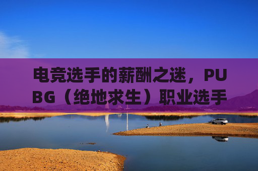 电竞选手的薪酬之迷，PUBG（绝地求生）职业选手的收入解析-pubg职业选手工资