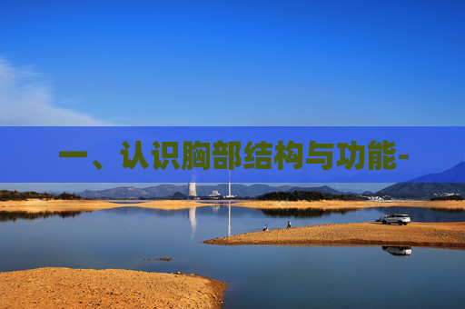 一、认识胸部结构与功能-