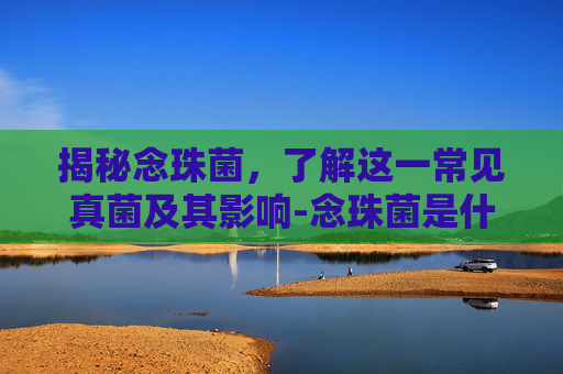 揭秘念珠菌，了解这一常见真菌及其影响-念珠菌是什么样的看图