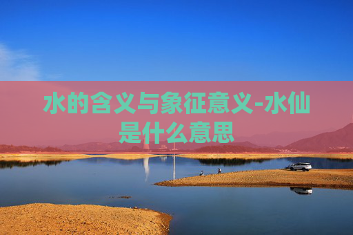 水的含义与象征意义-水仙是什么意思