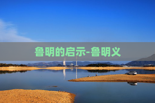 鲁明的启示-鲁明义