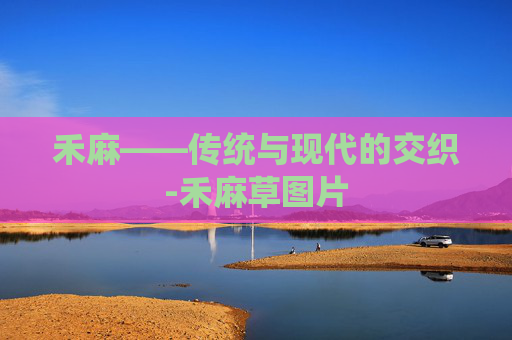禾麻——传统与现代的交织-禾麻草图片