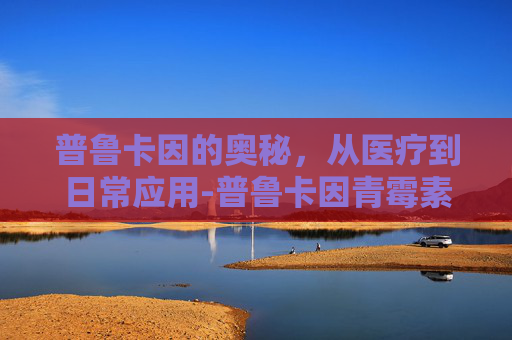 普鲁卡因的奥秘，从医疗到日常应用-普鲁卡因青霉素的作用