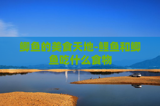 鲫鱼的美食天地-鲤鱼和鲫鱼吃什么食物