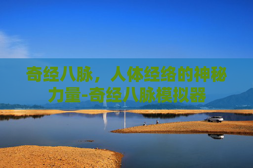 奇经八脉，人体经络的神秘力量-奇经八脉模拟器