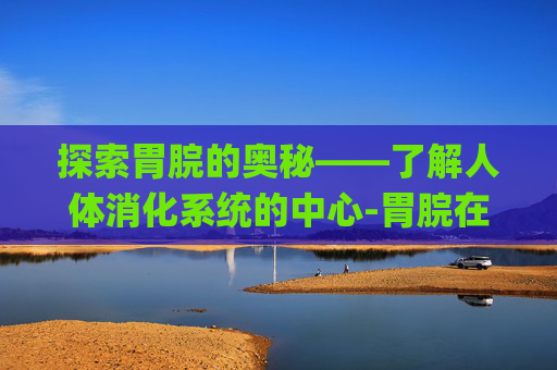 探索胃脘的奥秘——了解人体消化系统的中心-胃脘在哪个位置图片 (第1页)