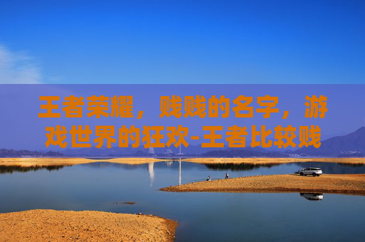 王者荣耀，贱贱的名字，游戏世界的狂欢-王者比较贱的名字