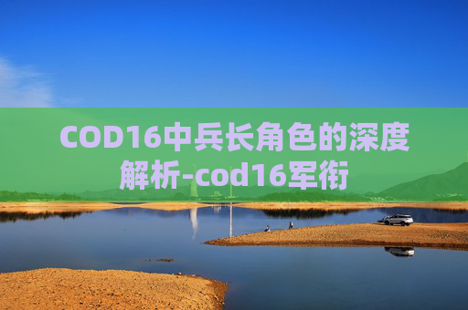 COD16中兵长角色的深度解析-cod16军衔