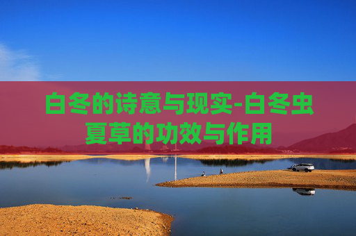 白冬的诗意与现实-白冬虫夏草的功效与作用
