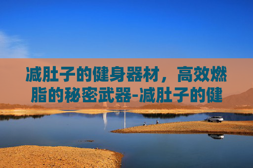 减肚子的健身器材，高效燃脂的秘密武器-减肚子的健身器材哪款有效果