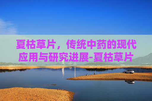 夏枯草片，传统中药的现代应用与研究进展-夏枯草片一次吃几片