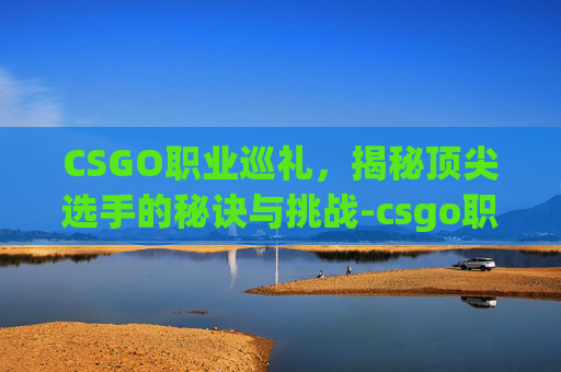 CSGO职业巡礼，揭秘顶尖选手的秘诀与挑战-csgo职业冠军