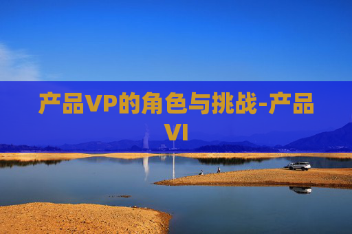 产品VP的角色与挑战-产品VI