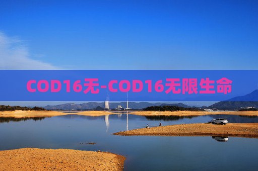 COD16无-COD16无限生命